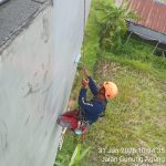 Pelapis Dindidng Rembes Dengan Climbing Sidoarjo